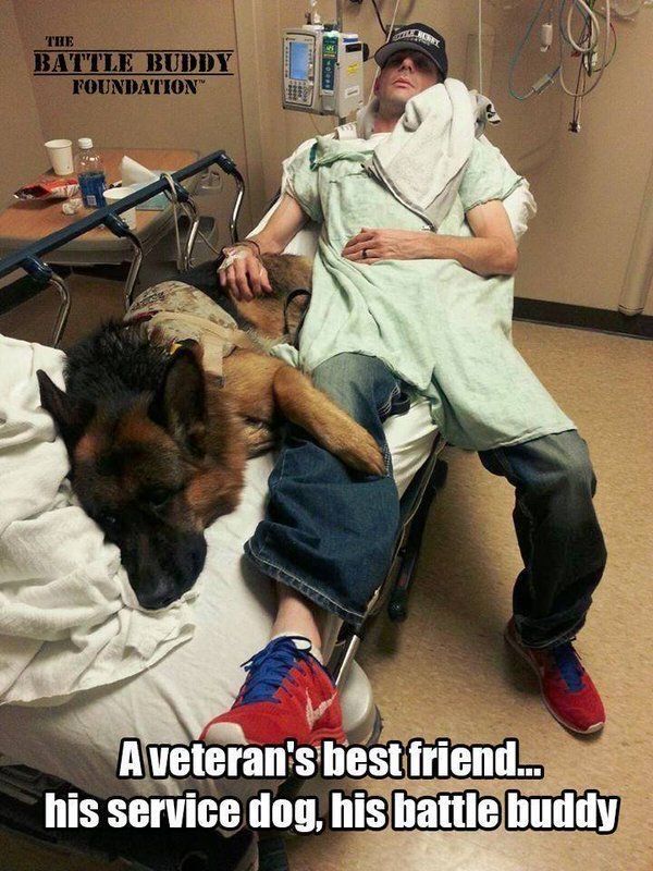 malinois_Lovers tweet media
