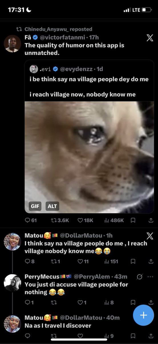 nodognodey tweet media