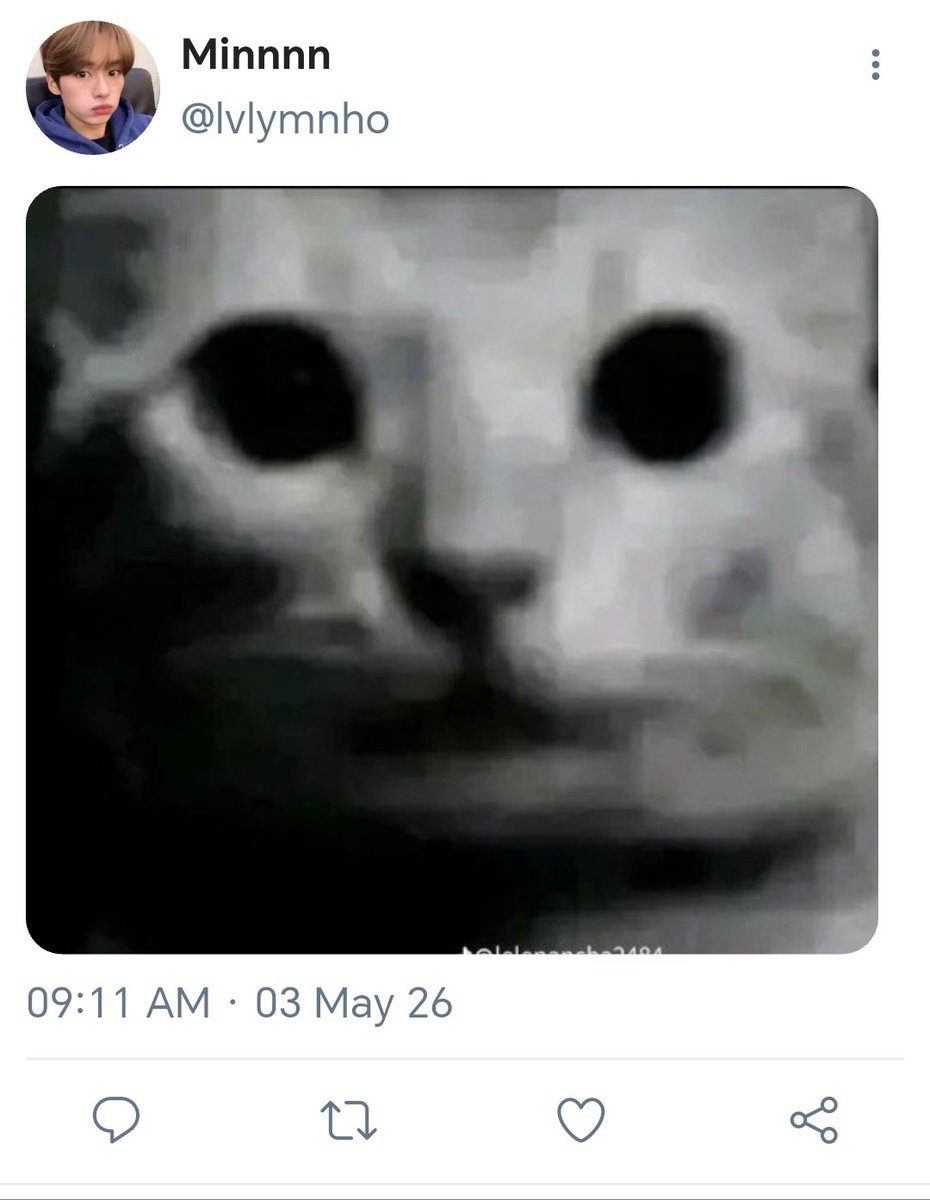 ᵃᵈⁿⁱ 𝜗ৎ tweet media