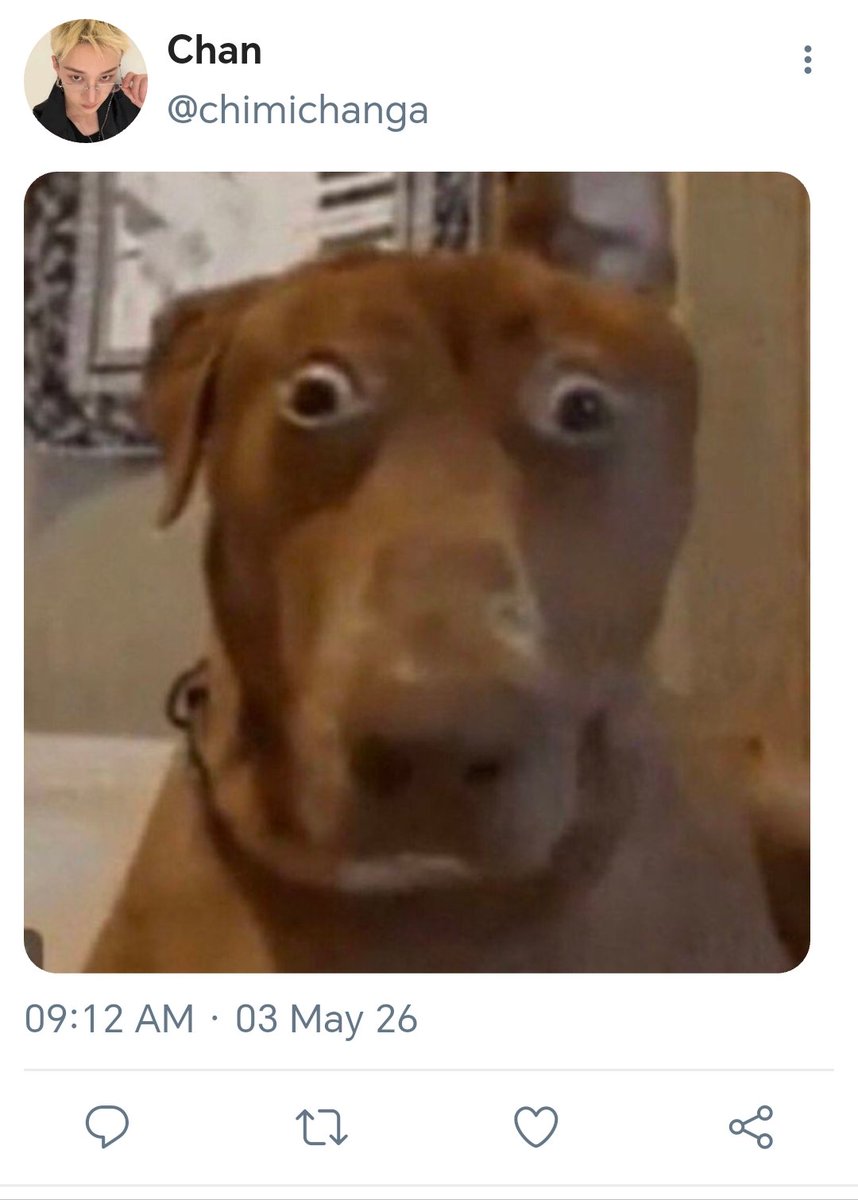 ᵃᵈⁿⁱ 𝜗ৎ tweet media