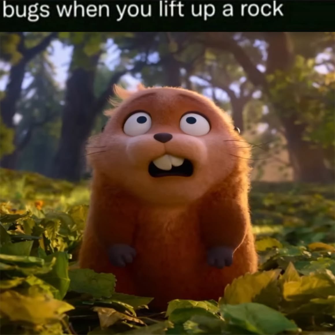 high wet RACCoon ‼️HOPPERS HYPE ‼️🏳️‍⚧️ tweet media