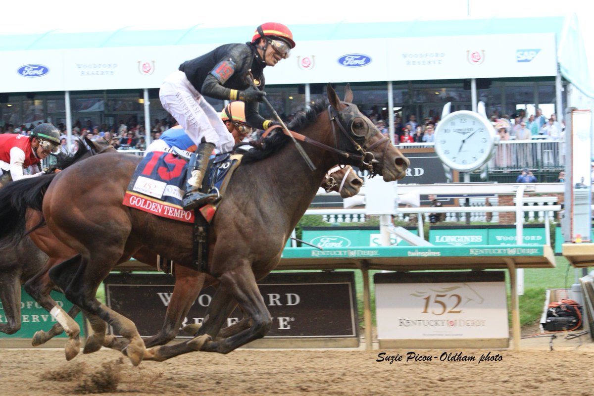 Thoroughbred Aftercare Alliance tweet media