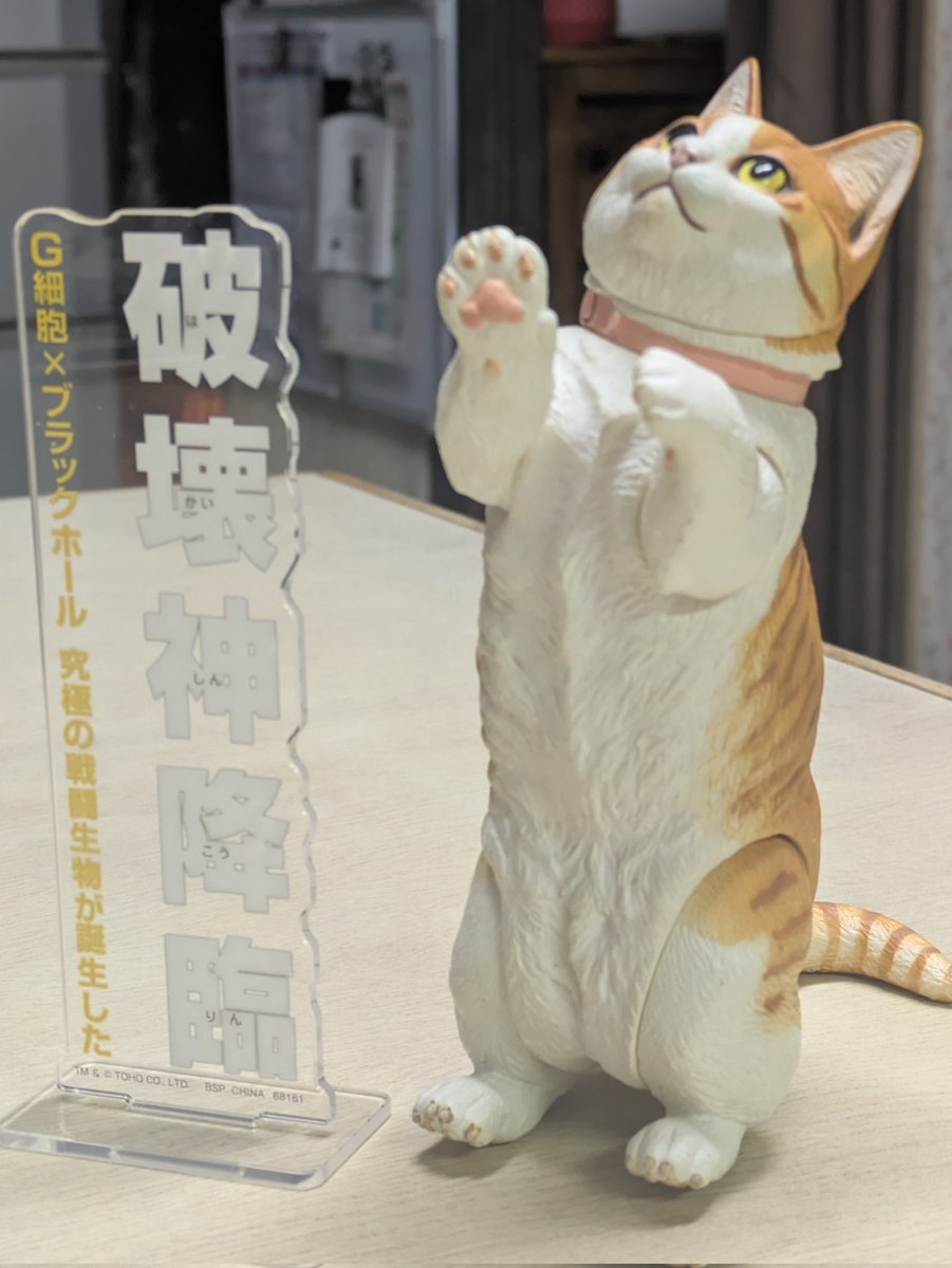 じょいやー@「でぶ猫の腹を揉みたい」勢 tweet media