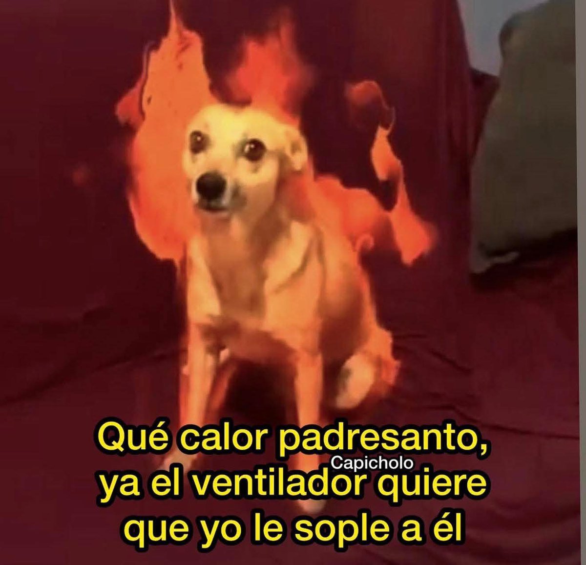 🇲🇽 México Mágico ✨ tweet media
