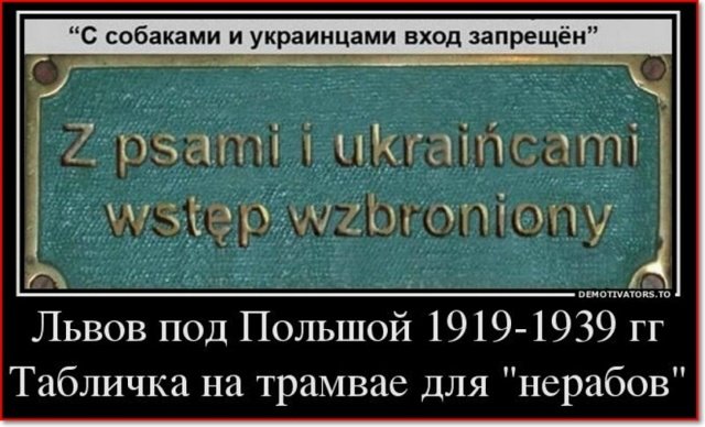 Александр Новицкий tweet media