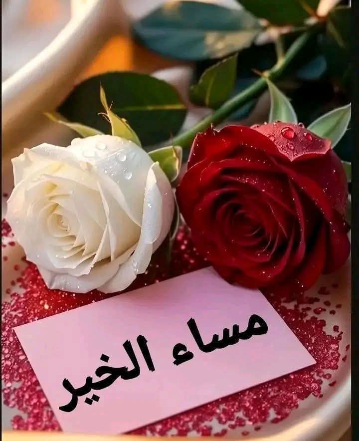 صقر العروبة 💛💙🇸🇦 tweet media