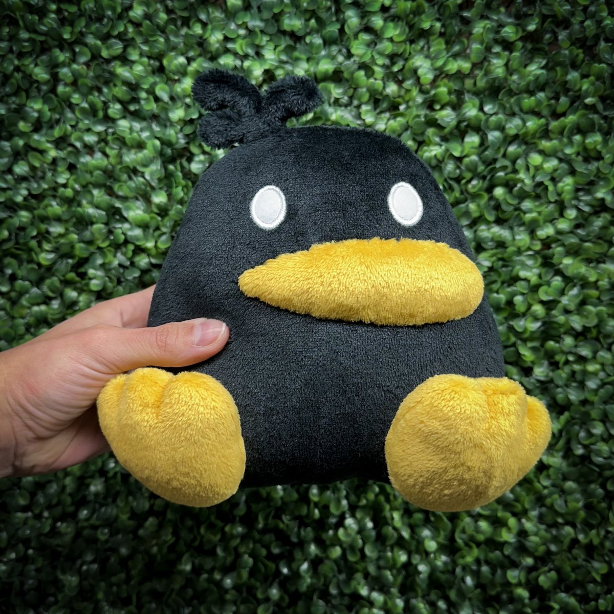 tinystarProds's tweet photo. Caw Caaaaaaaaaaaw!!! Meet Raphael the Raven! I love how his design turned out so much! I think there will be more birb plushies in store for this year 😊 https://t.co/jwVVttcZ2A