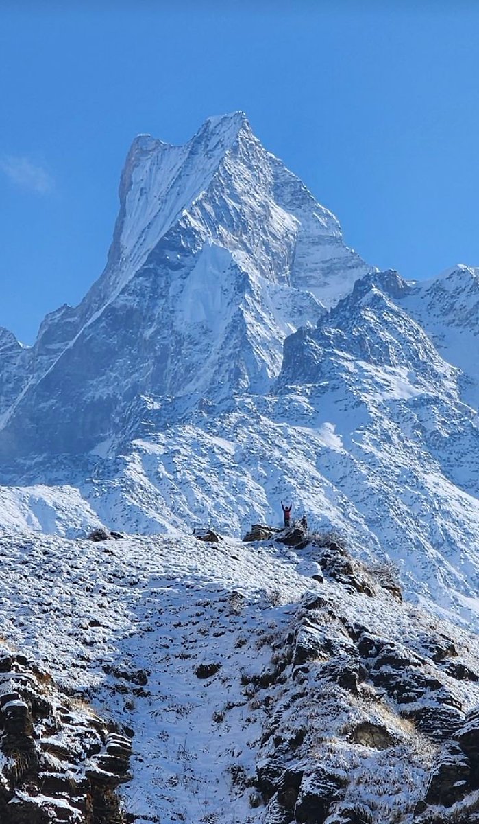 The Mountains tweet media