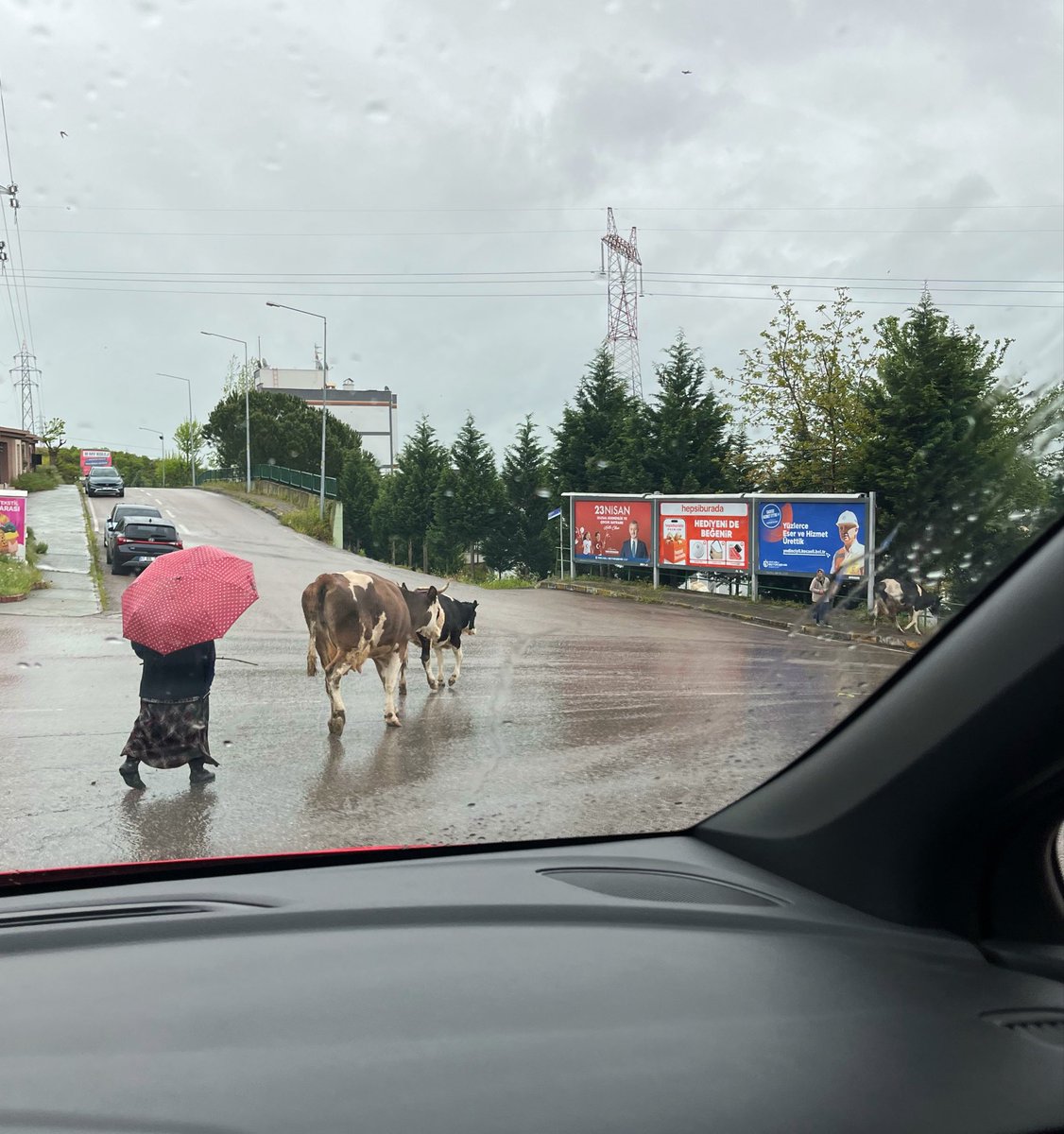 ellyipek's tweet photo. Evet hayatım şehrin tam merkezinde yaşıyorum çok işlek bir yer.. https://t.co/4oTOMuBDE0