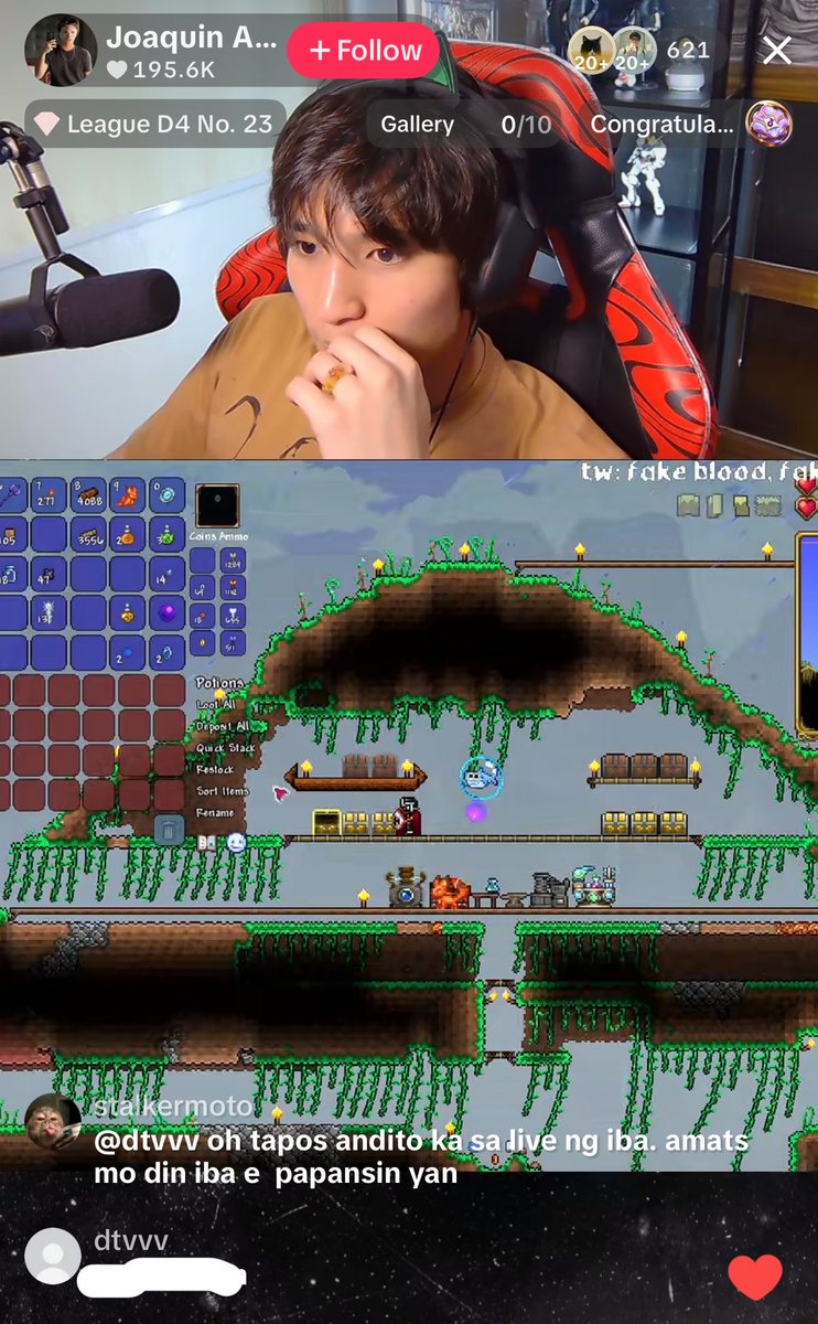 🦩 tweet media
