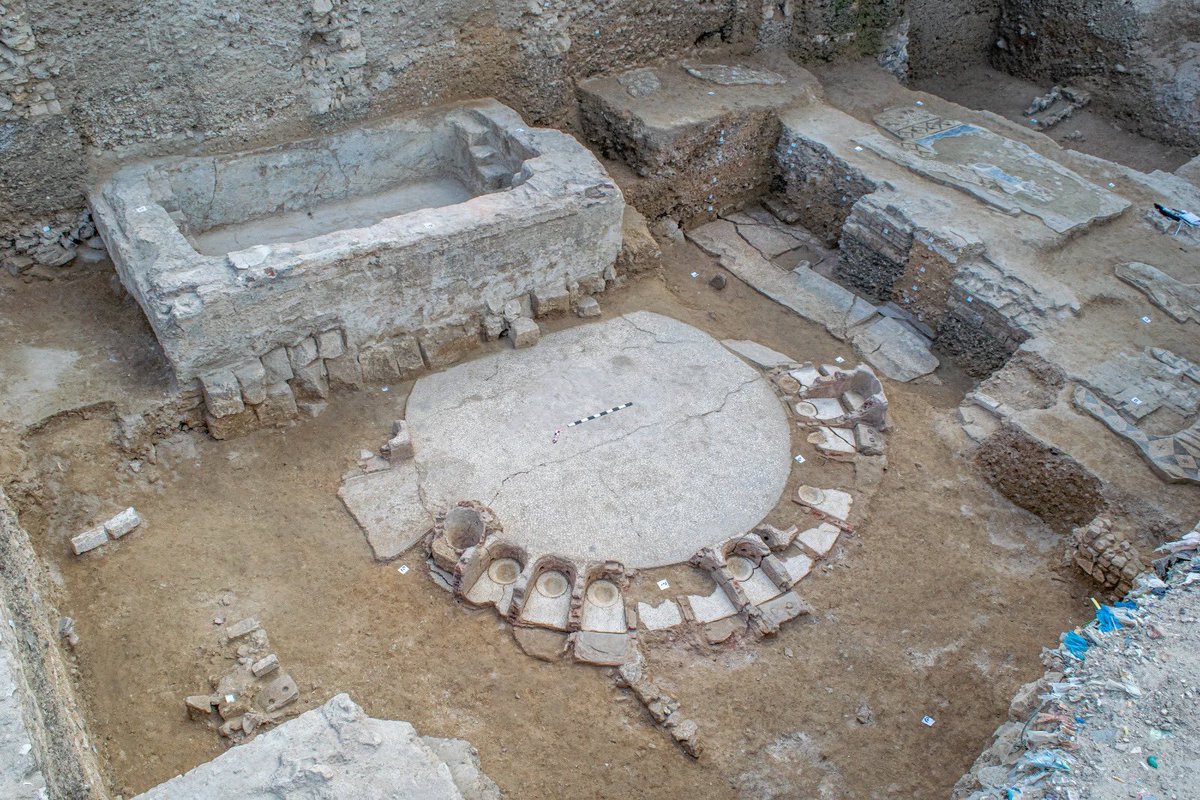Madam Archaeologist tweet media