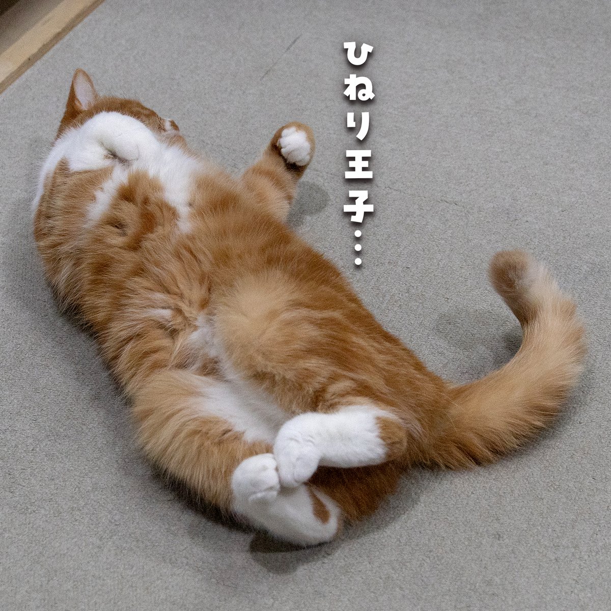 tommy&yuzu tweet media