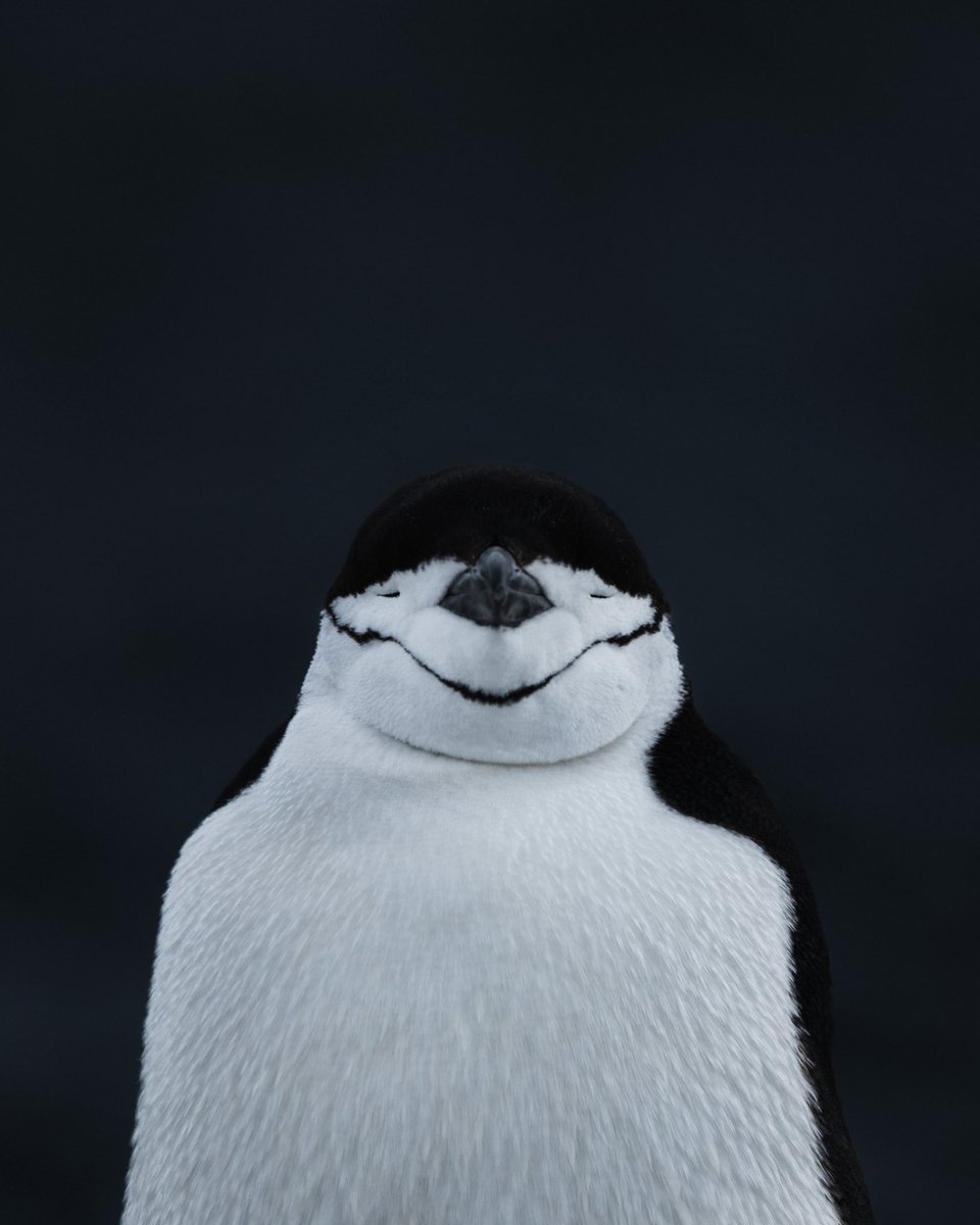 𝘄𝗮𝗻𝗱𝗲𝗿𝘁𝗿𝗮𝘃𝗲𝗹𝘀 tweet media