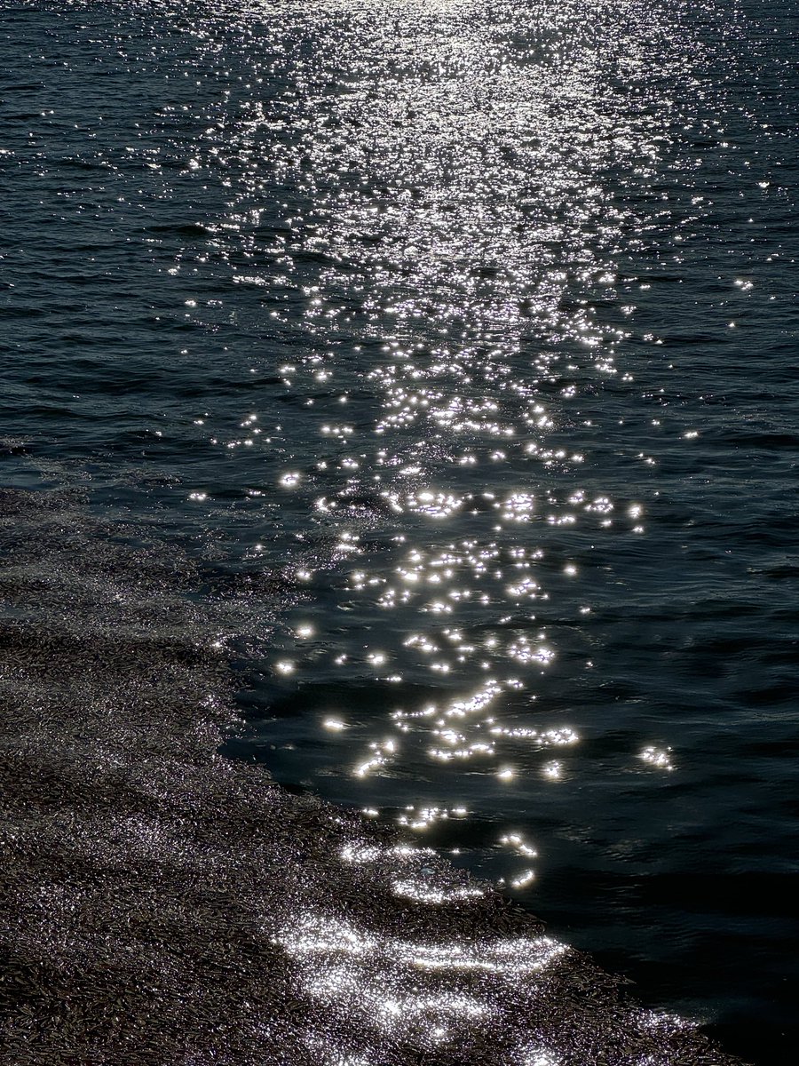 Hannahzz000's tweet photo. ✨What Did Hannah Make Today 
🫧Day1: the shimmering card
Would you linger where the water shines? Hover the card and the water sparkles, like stars spilled across the surface.
#microinteraction https://t.co/TbERdj5UKS