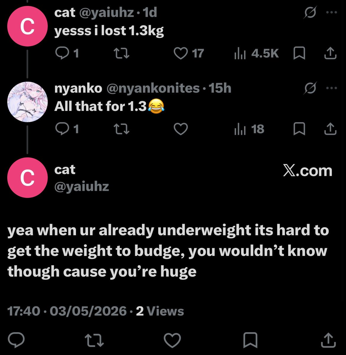cat tweet media
