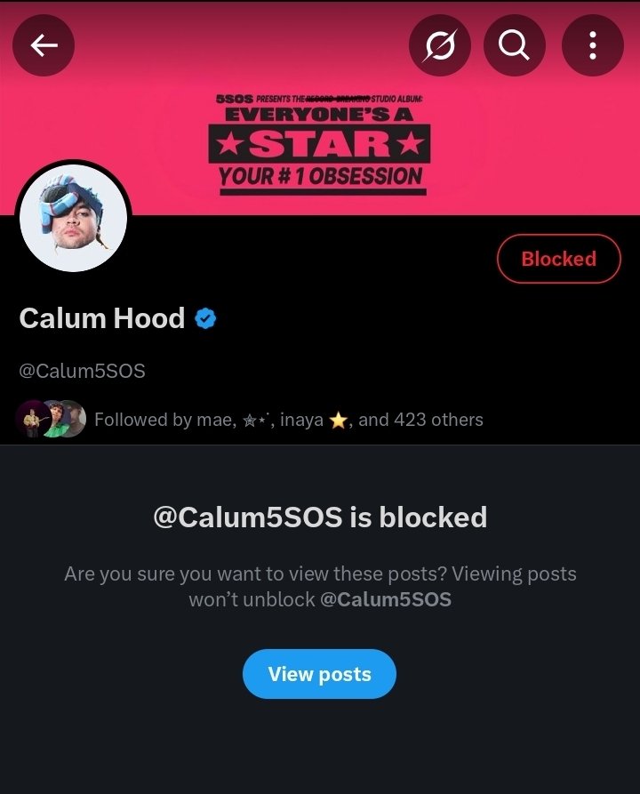 shannon misses 5sos and louis⭐ tweet media