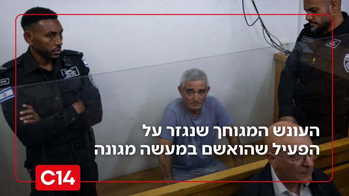 טל רימר tweet media