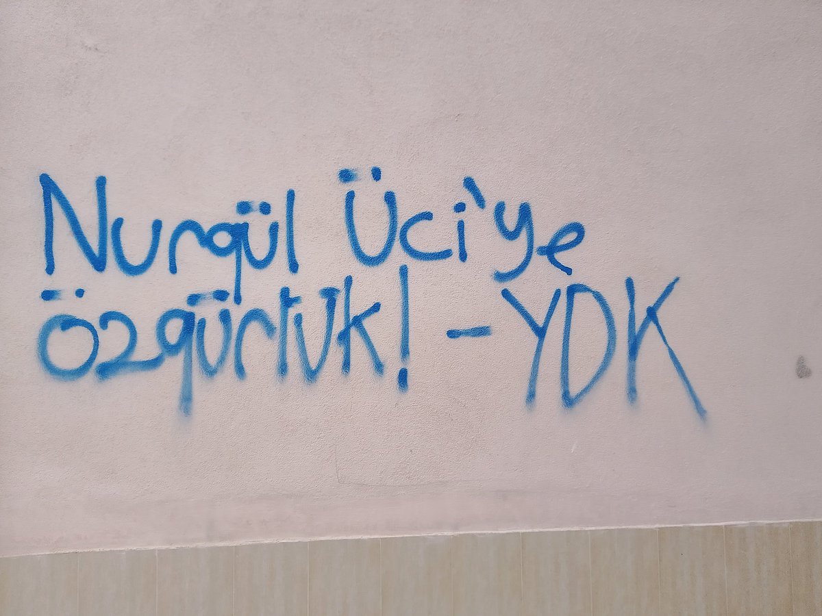 Yeni Demokrat Kadın tweet media
