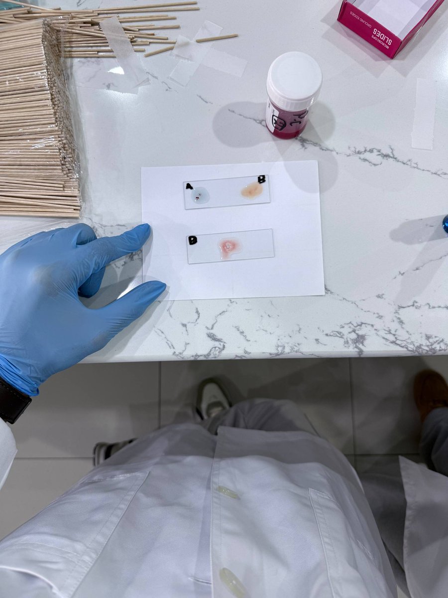 Dr | 𝑀 tweet media