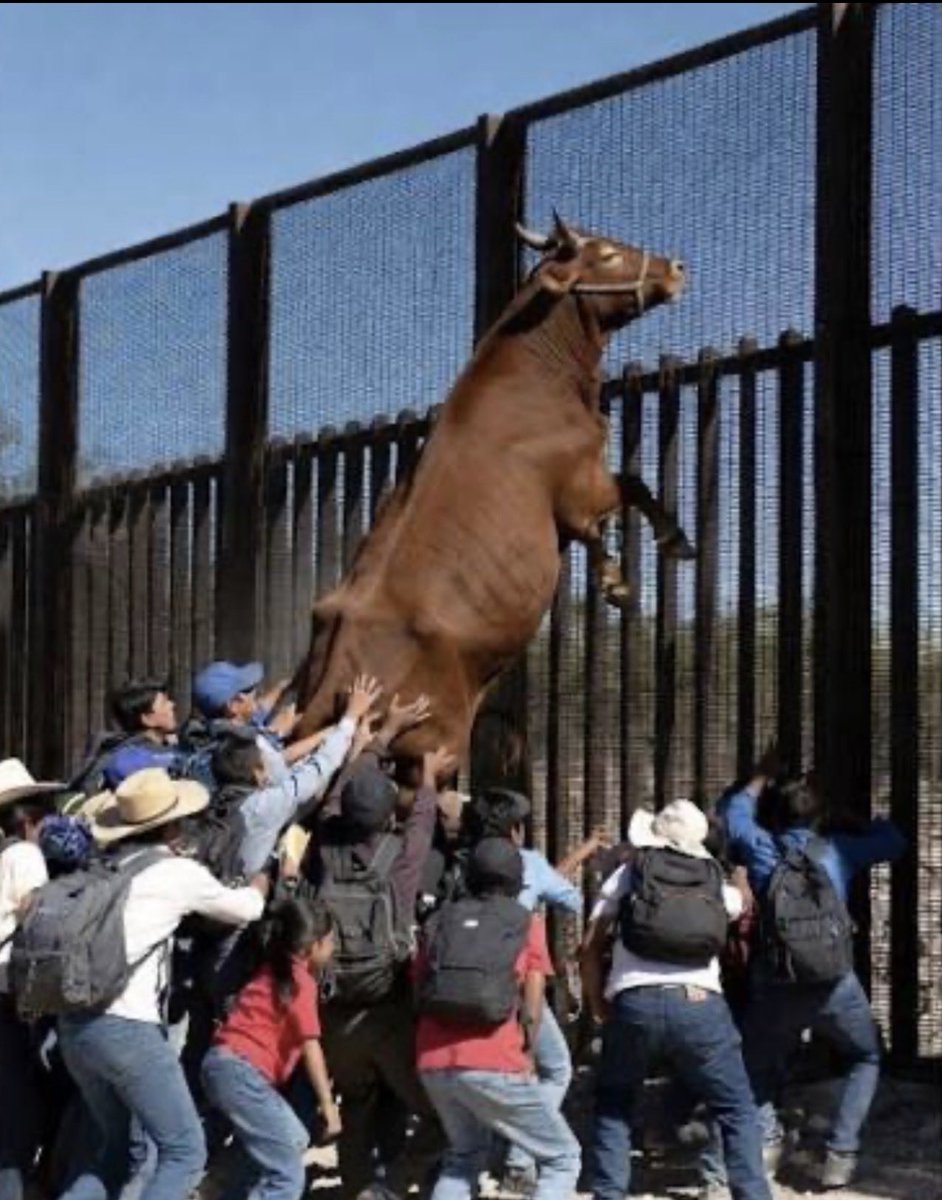 HowardRoarvvmy's tweet image. #MAGA blames the immigrants because there is nothing the #RepublicanParty can’t blame on brown people. 
#RepublicansAreTheProblem