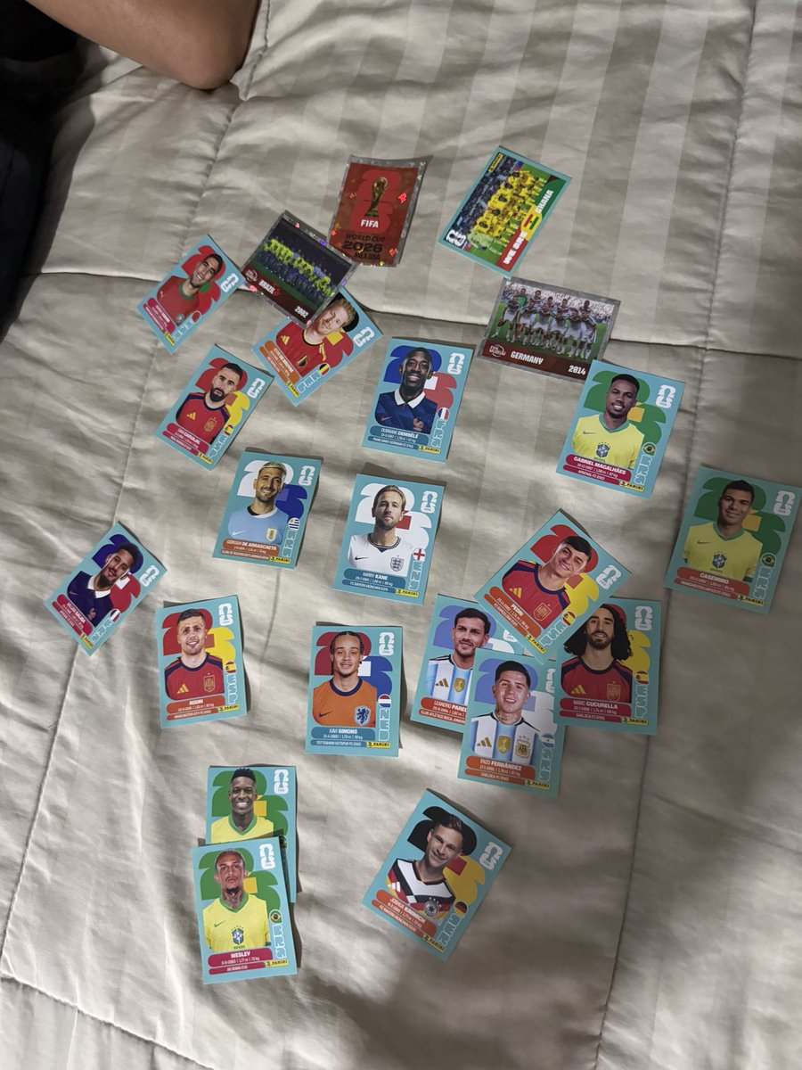 Abrir pacotinho, ver figurinhas é bom demais, mas agora ter que colar tudo é foda

Da uma preguiça absurda