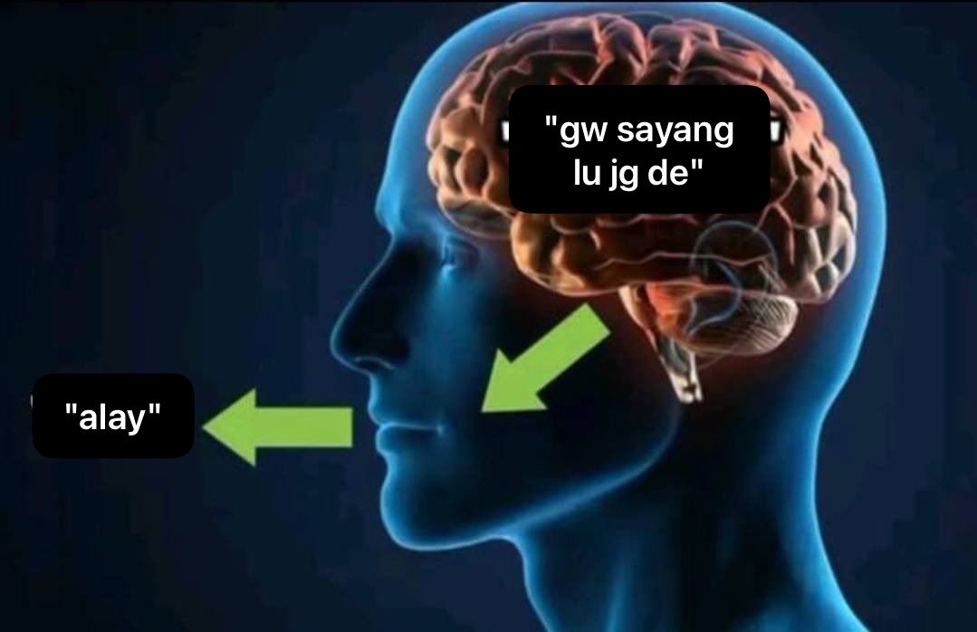 Ajun tweet media