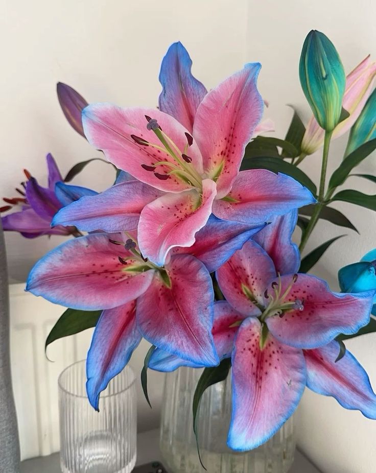 naturaholic's tweet photo. lilies 🩷 https://t.co/0bPQOg0Zvz