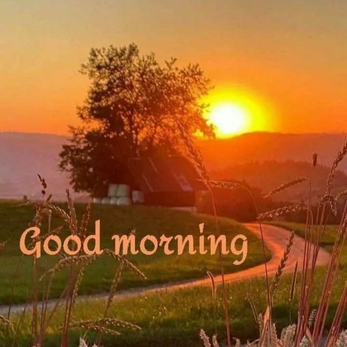 BHUMI tweet media