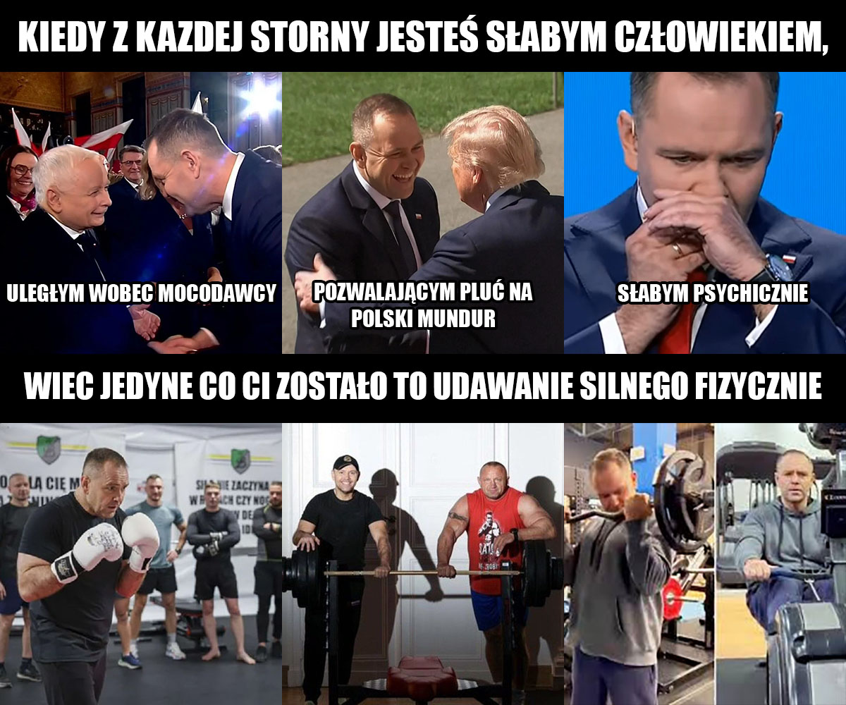 Zbyszek tweet media