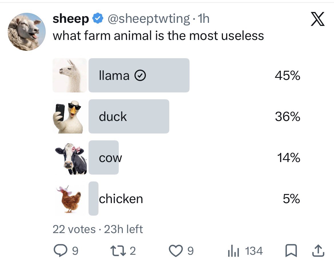 Alpaca tweet media