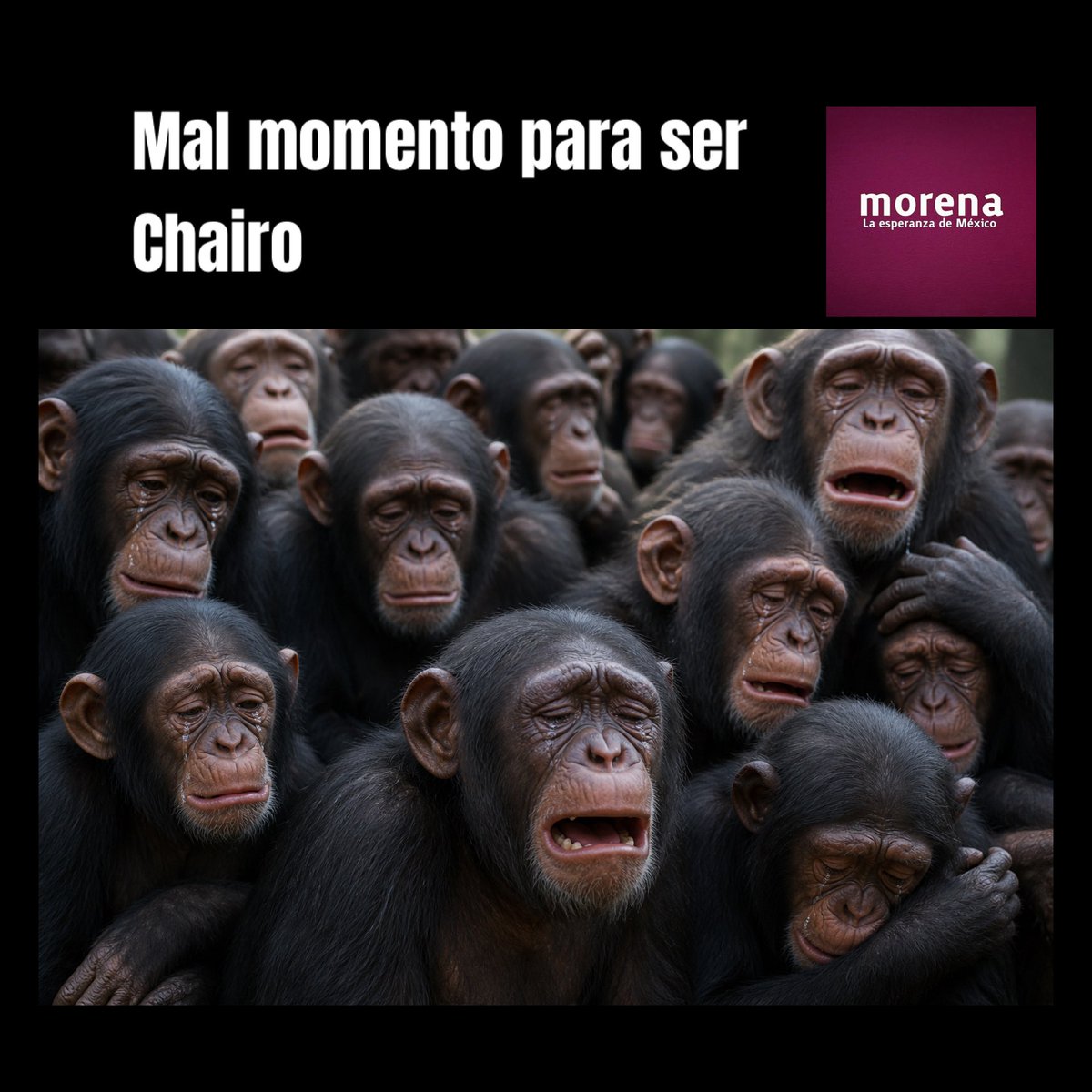 Maria RomHer tweet media