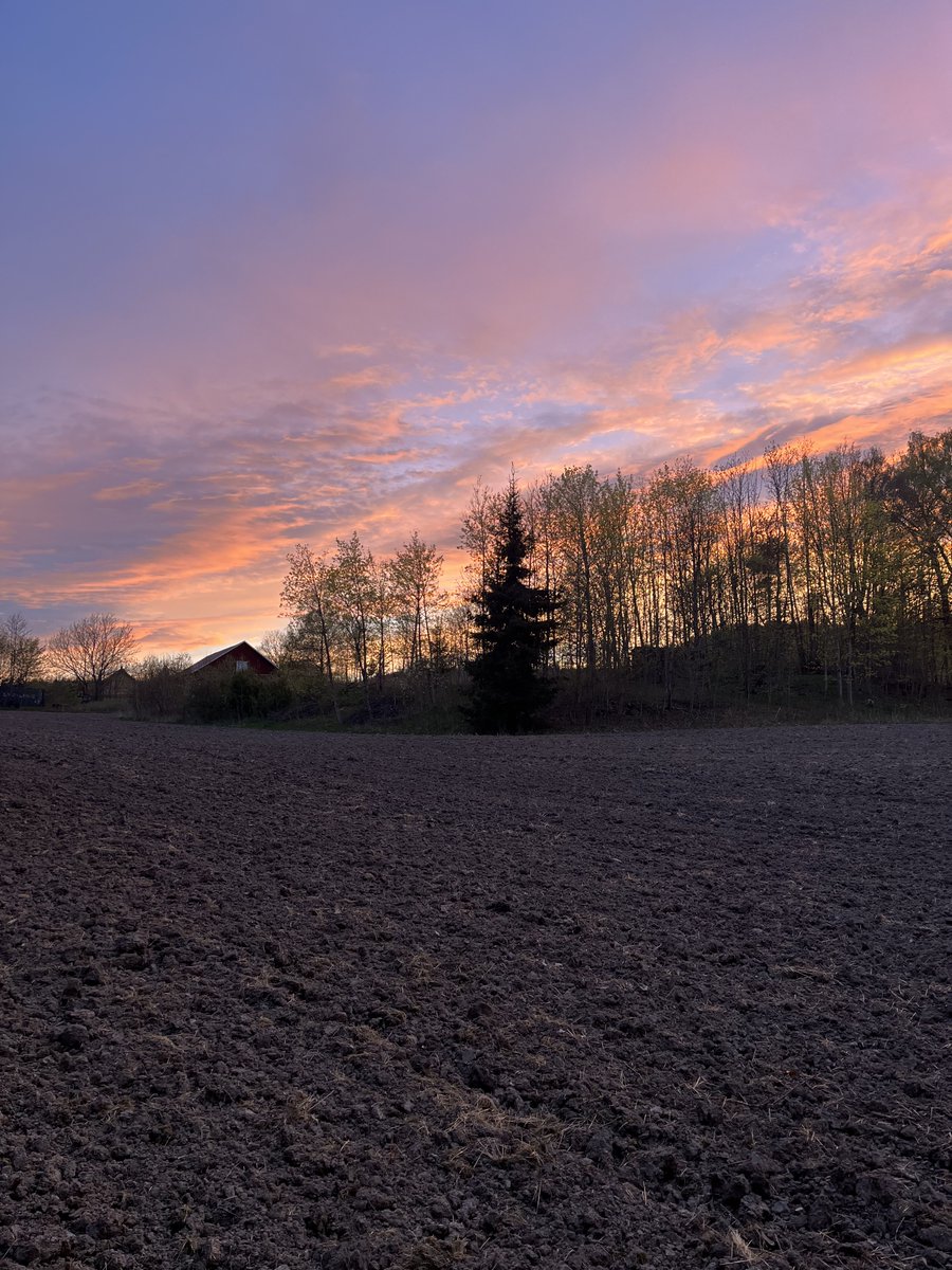 ShahidMAskerN's tweet image. Good evening friends 🩵🧡🌲🍷
📷 Asker 
#Norway