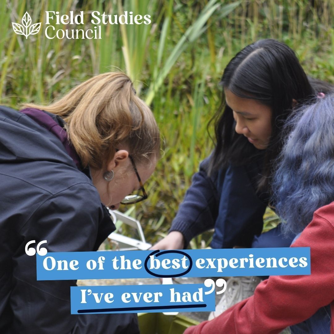 Field Studies Council tweet media