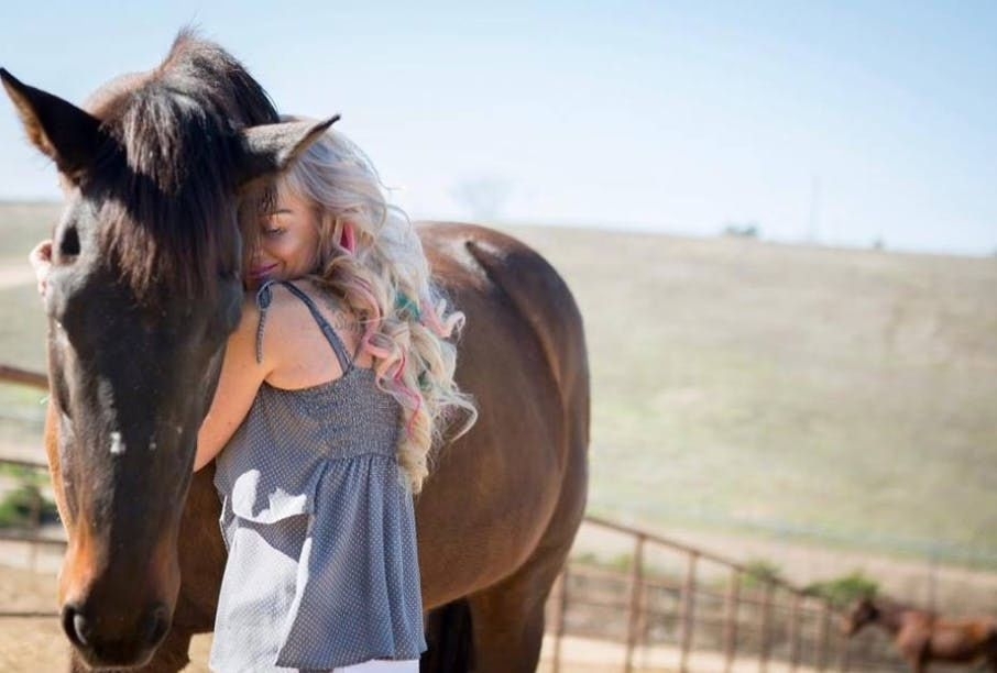 equivont's tweet photo. Some horses are rescued. Others become healers. 🤍

The Free Rein Foundation is doing both, offering sanctuary to abused and neglected horses while creating powerful connections with people who need it most. 

Learn more at https://t.co/Z0dEgc4xJZ 🦄 https://t.co/MB9xLEvQTU https://t.co/UwyNGBDjOx