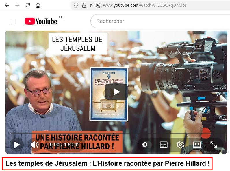 Vigilance Anti-Nazis tweet media