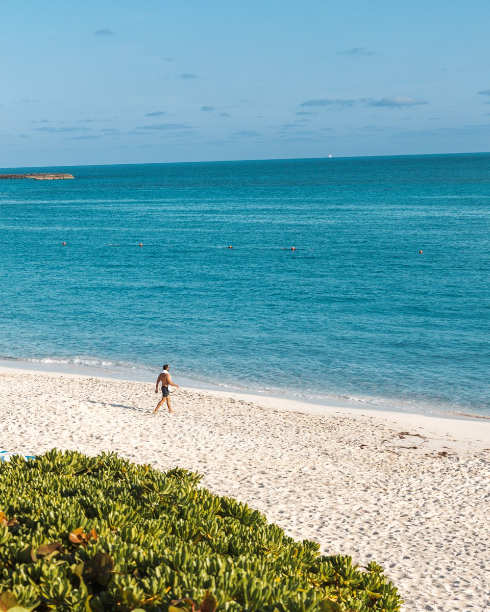 FSOceanClub's tweet image. At #FSOceanClub, the shoreline shapes your morning with salty air, gentle waves, and sandy toes.

Reserve your beach chaise and let our Four Seasons attendants provide food &amp;amp; beverage service, as the ocean sways beyond.

📷 photo by: @jennifermhasbun

#FourSeasons