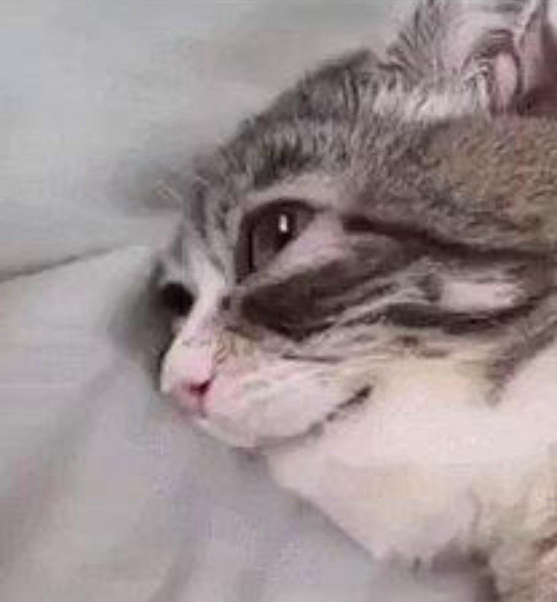 quando eu tô tendo um dia bom mas me deparo com um post assim e então eu me lembro que lowkirkuinamente vou permanecer sendo um chud inamavel pro resto da vida