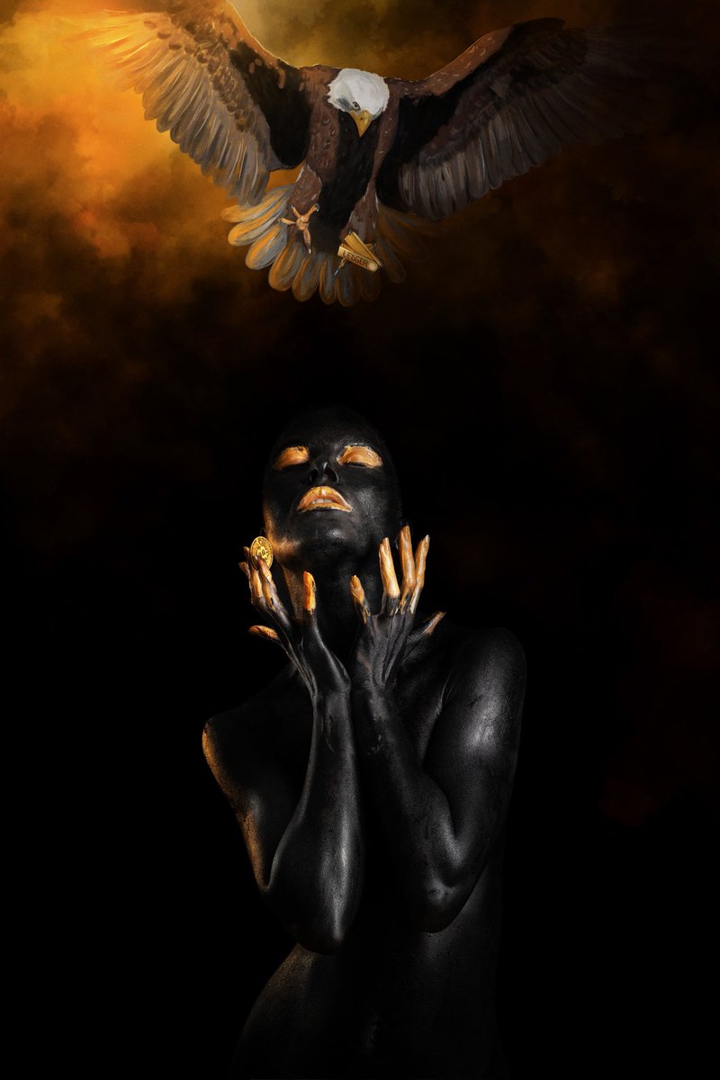 Dorin photograph tweet media