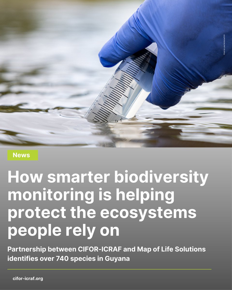 CIFOR_ICRAF's tweet image. Smarter biodiversity monitoring is helping close critical data gaps.

Through the #SWMProgramme, CIFOR-ICRAF and Map of Life Solutions have identified 740+ species in Guyana, supporting better decisions for people and nature.

Read:🔗 bit.ly/4epoSye

#TreesPeoplePlanet