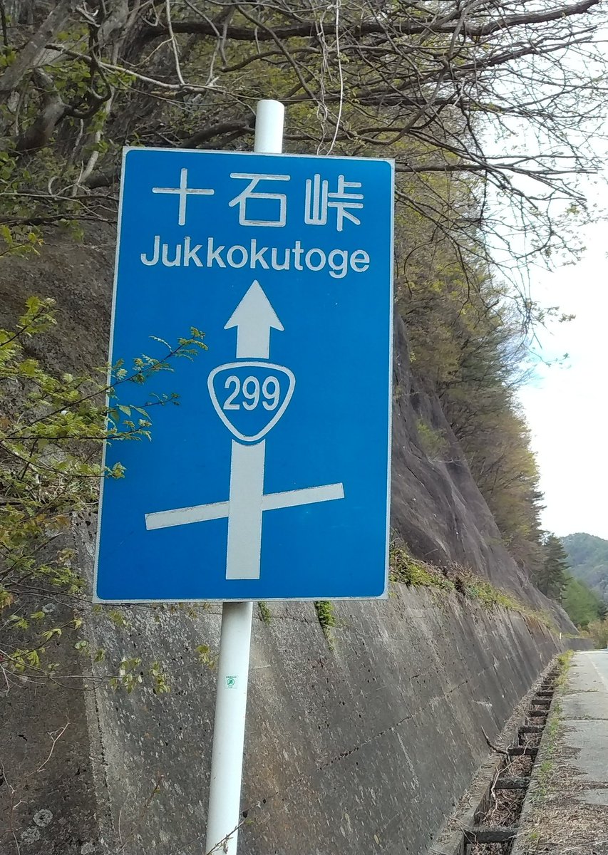 新緑に青い空
風にそよぐ鯉のぼり
ちょっと遠出して走ってきたけれど
五月を感じる峠ドライブでした｡.+:ﾟ