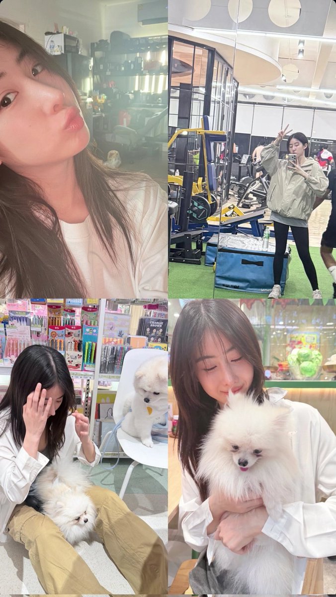 YOKO BUBBLE TH tweet media