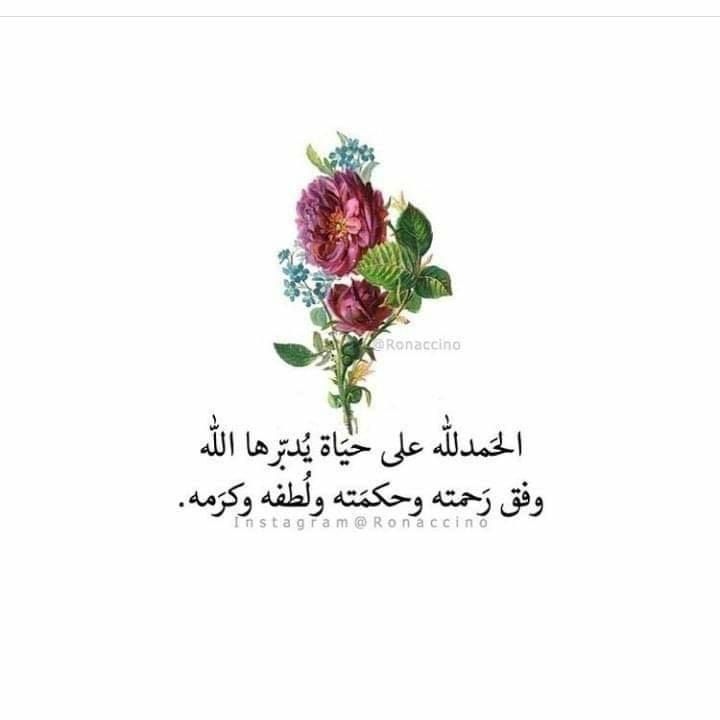 على سليم #ابوعمر tweet media