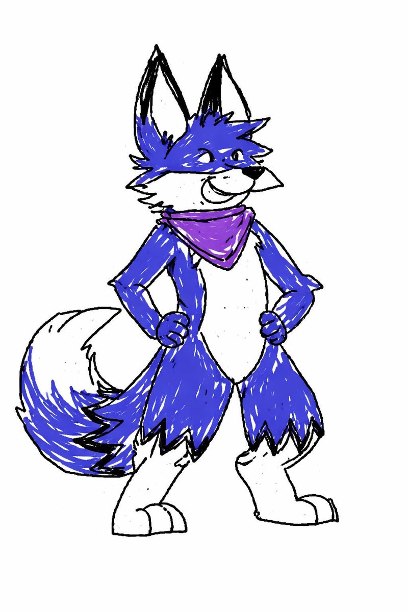 🐈‍⬛ Cattitude Acefox 🦊 tweet media