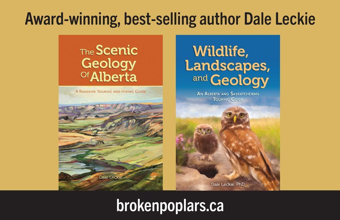 Dr. Dale Leckie tweet media