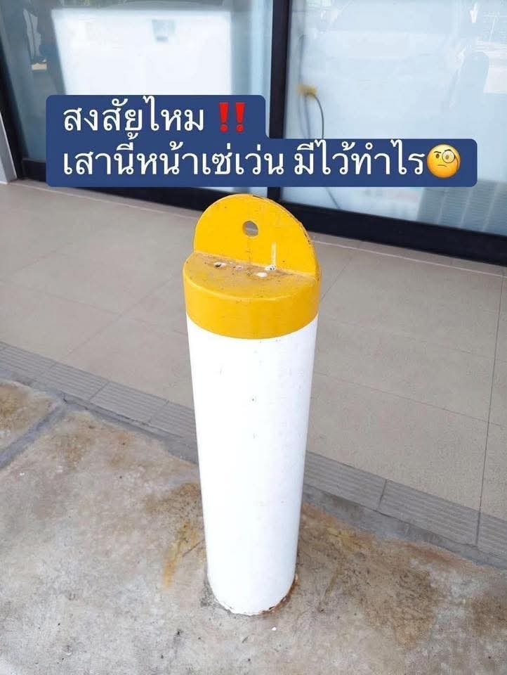 ฮ.นกฮูก(สีส้ม) tweet media