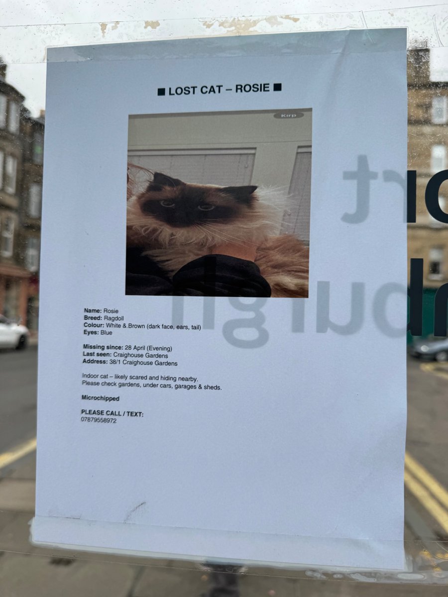 platotheteddy's tweet image. #Edinburgh there’s a cat lost from Craighouse Gardens, anyone seen her? A ragdoll named Rosie 👇
