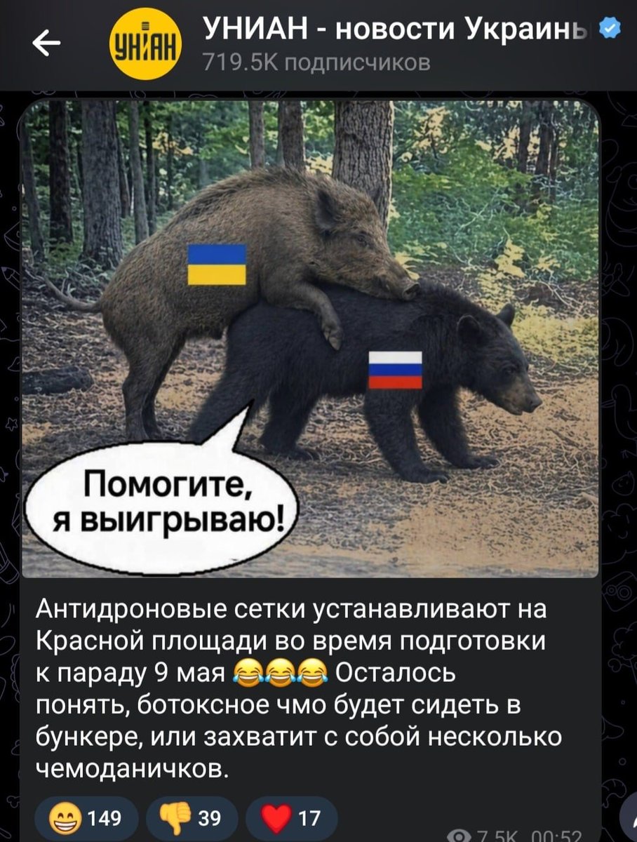 Ноющая Булочка tweet media