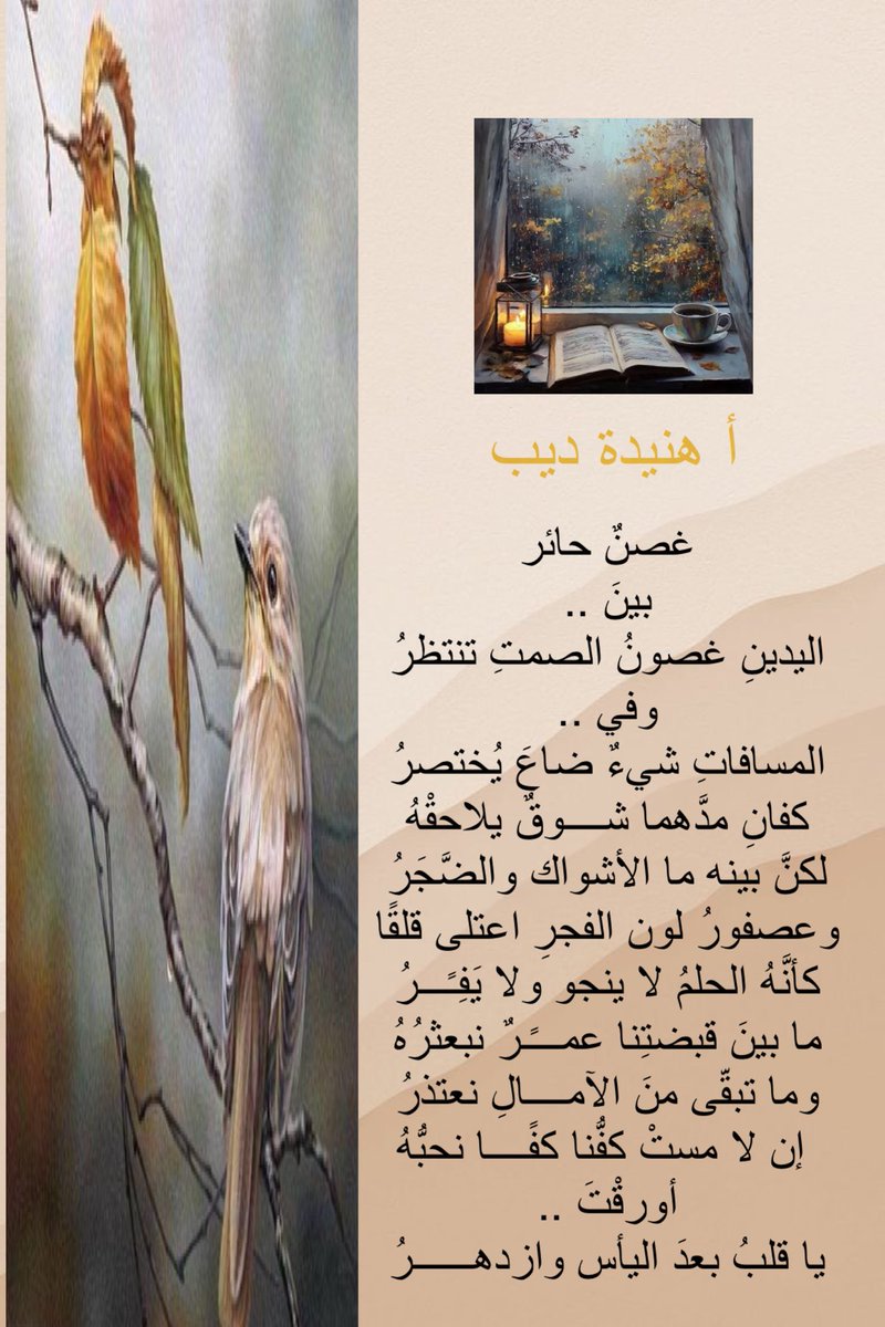 ‏ AL-TAMIMI tweet media