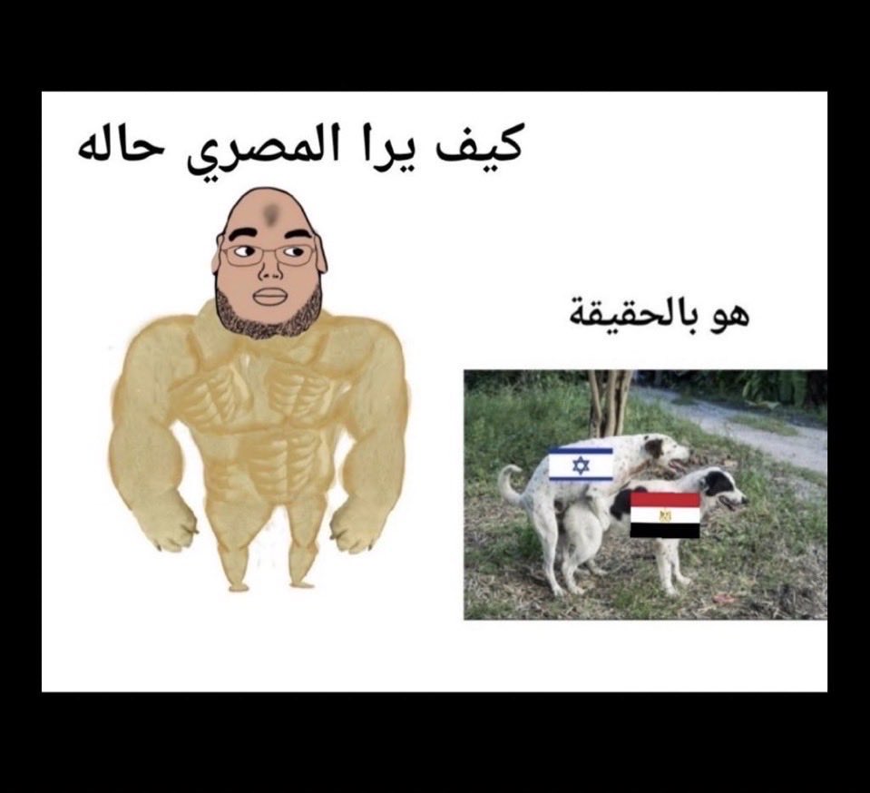 قائد مقاتل 🇪🇬 (خط القمبري 🍤 🦐 ) tweet media
