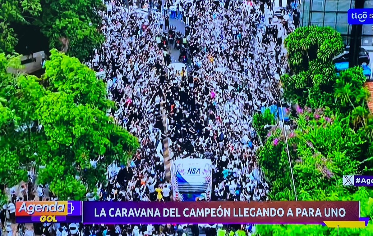 Franjeado.com tweet media